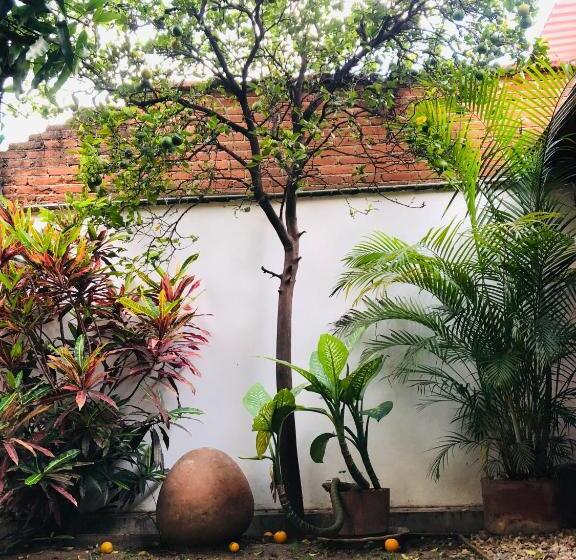 اتاق استاندارد, Los Nardos Hostel