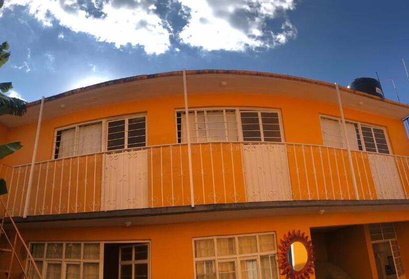 اتاق استاندارد, Los Nardos Hostel
