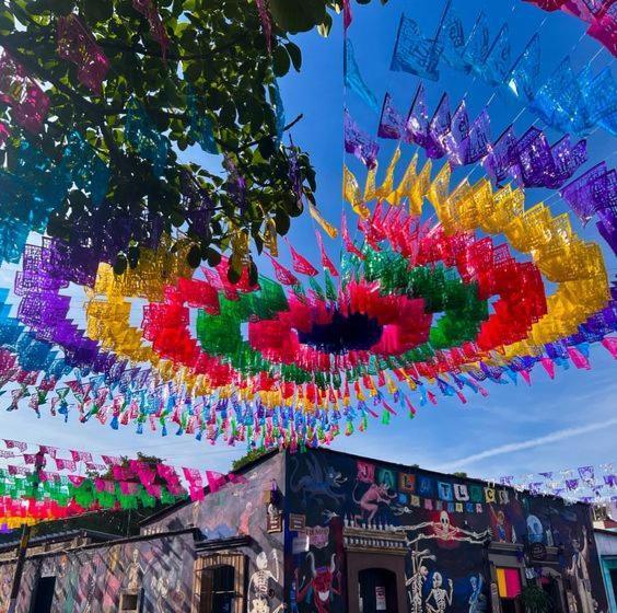 اتاق اکونومی, Los Nardos Hostel