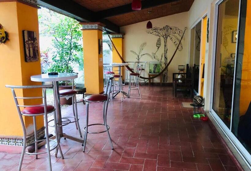 اتاق اکونومی, Los Nardos Hostel