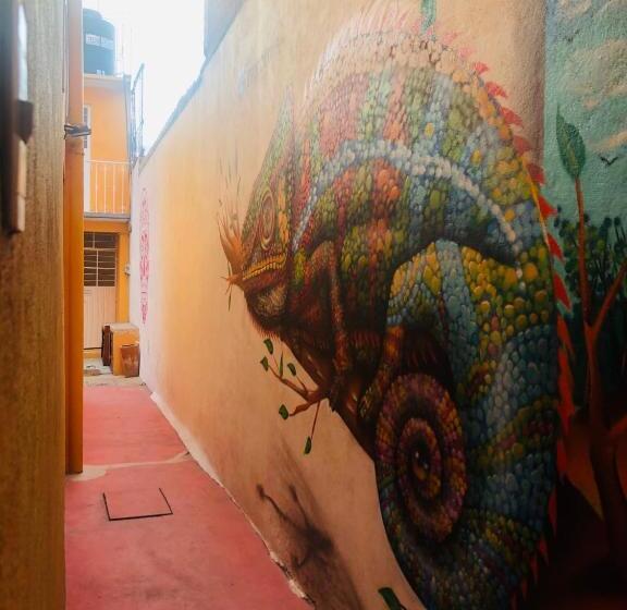 اتاق اکونومی, Los Nardos Hostel