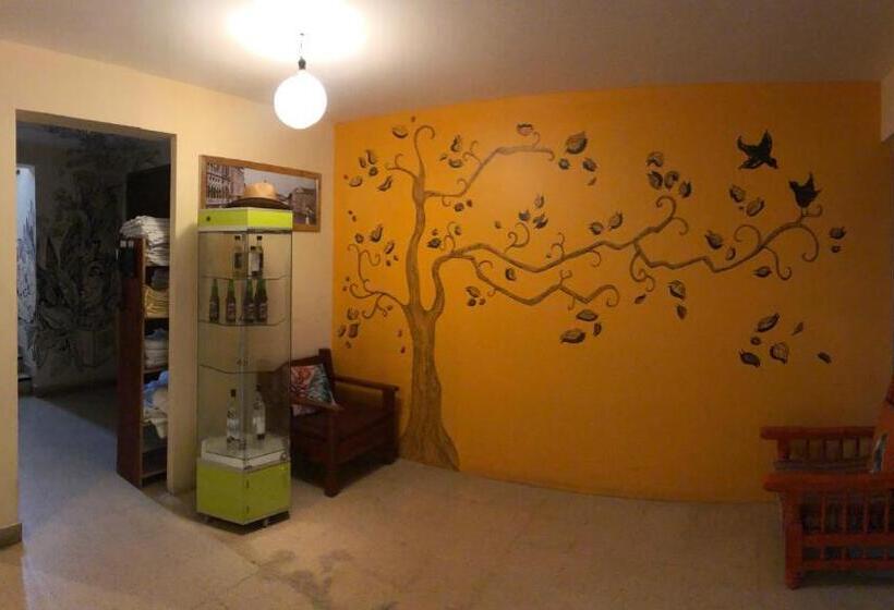 اتاق اکونومی, Los Nardos Hostel