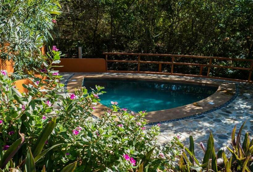 标准平房, Cabañas Amaia