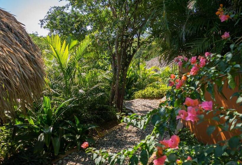 标准平房, Cabañas Amaia