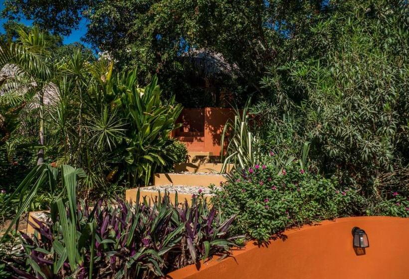 标准平房, Cabañas Amaia