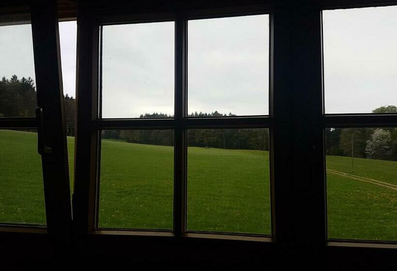 스탠다드 싱글 룸, Gästehaus Annemarie