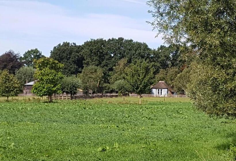 패밀리 룸, Casaprisco