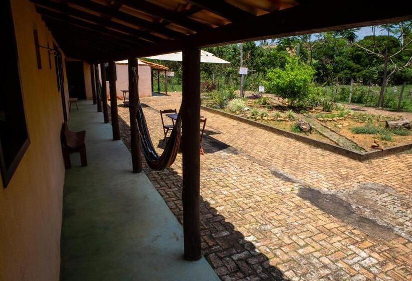 غرفة إقتصادية, Garça Branca