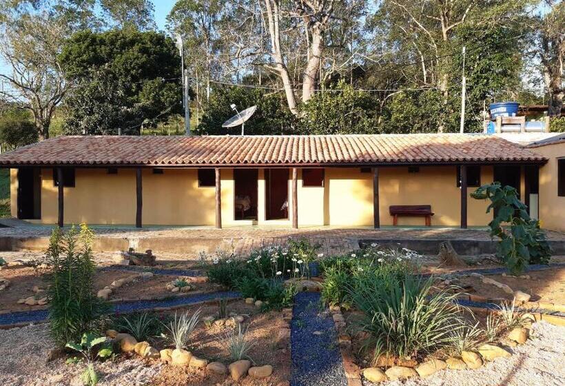 غرفة إقتصادية, Garça Branca