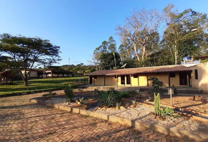 غرفة إقتصادية, Garça Branca