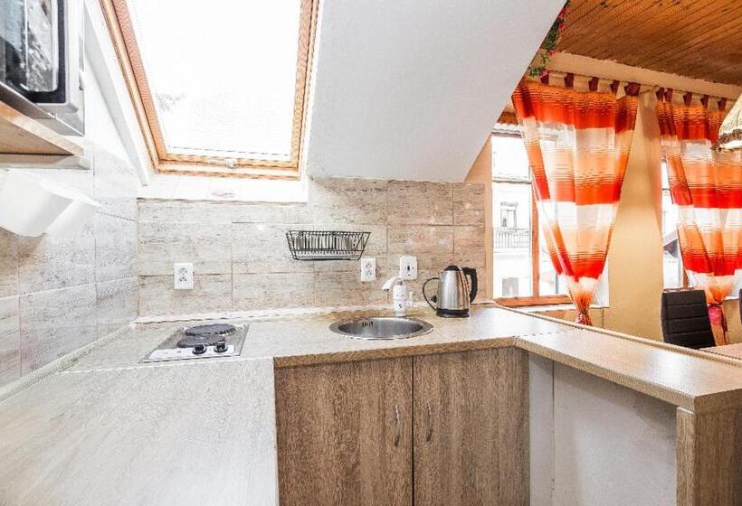 带露台的小型套房, Penzion U Lípy