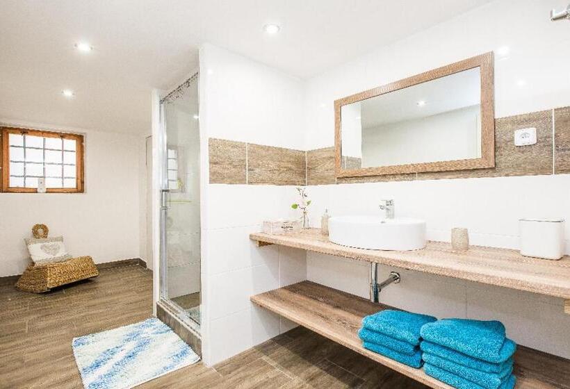 带露台的小型套房, Penzion U Lípy