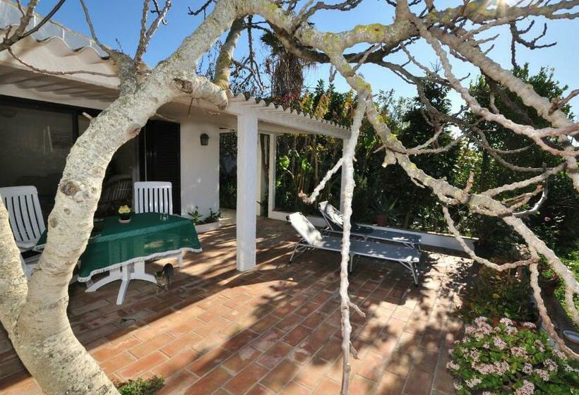 Apartamento 1 Dormitório com Terraço, Vivenda Johanna