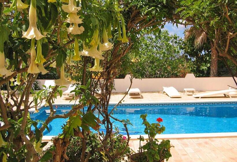 Apartamento 1 Dormitório Vista Piscina, Vivenda Johanna