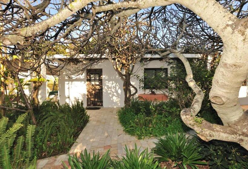 דירת חדר עם טרסה, Vivenda Johanna