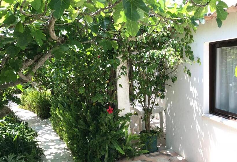 Apartamento 1 Dormitório com Terraço, Vivenda Johanna