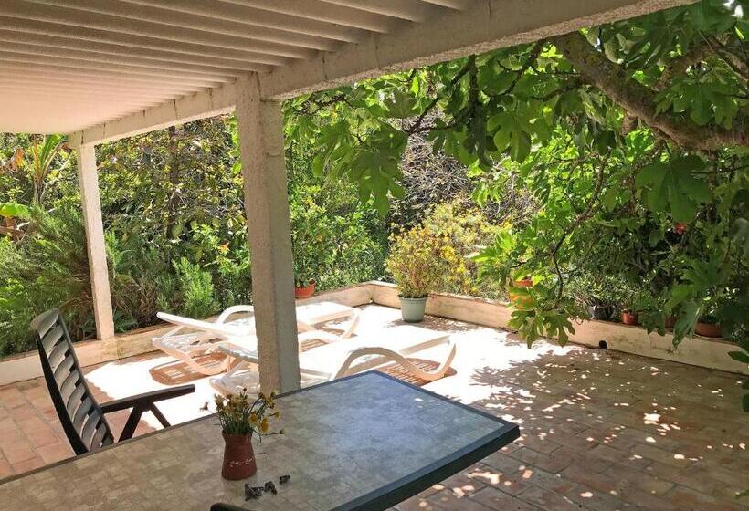 Apartamento 1 Dormitório com Terraço, Vivenda Johanna