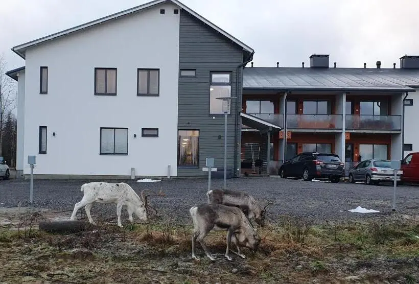スタンダードスタジオ, Lost In Ylläs