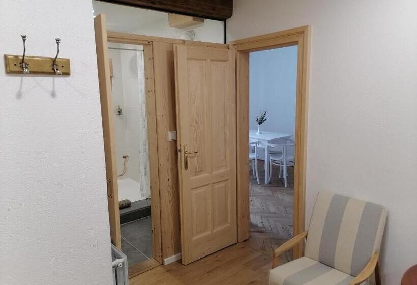 דירת שני חדרים, Stará Pekárna/old Bakery