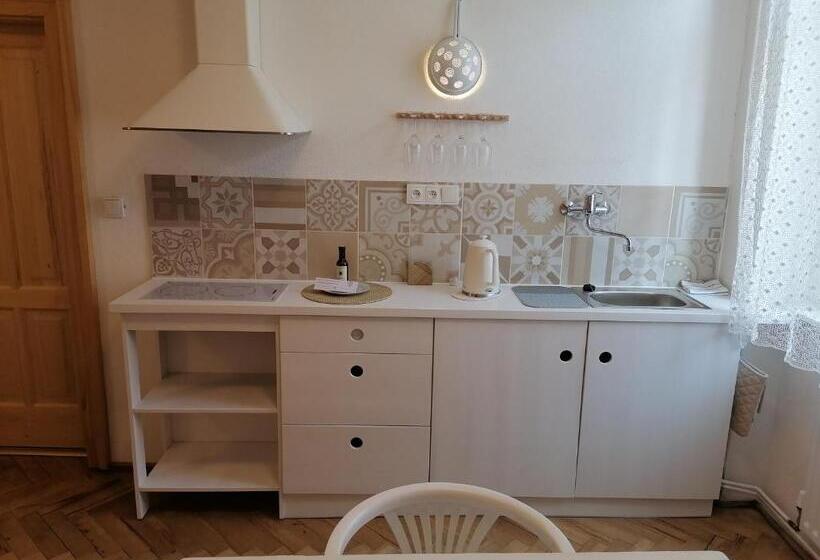 דירת שני חדרים, Stará Pekárna/old Bakery