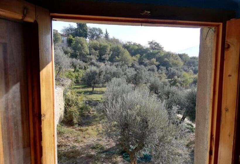 Четырехместный номер эконом класса с общей ванной комнатой, Agriturismo Casamatta Azienda Agricola