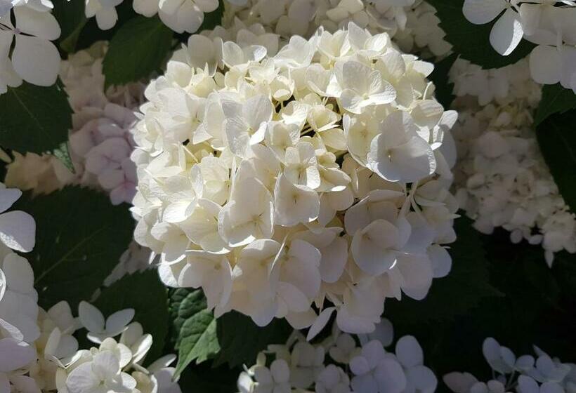 스탠다드 룸, Liz On Lowry