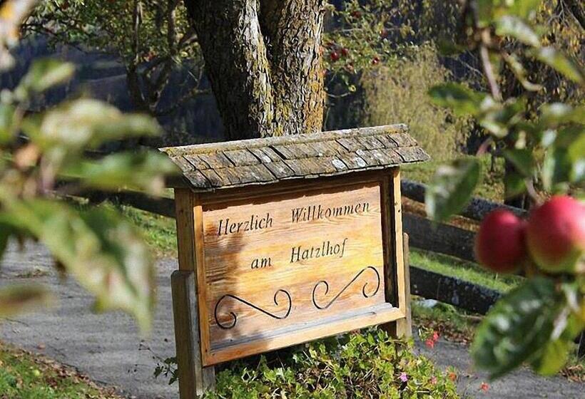 آپارتمان 1 خوابه, Bauernhof Hatzlhof