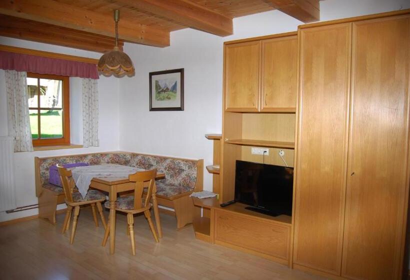 Апартаменты 1 Спальня, Bauernhof Hatzlhof