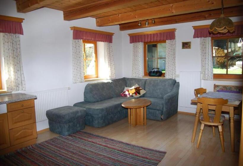 آپارتمان 1 خوابه, Bauernhof Hatzlhof