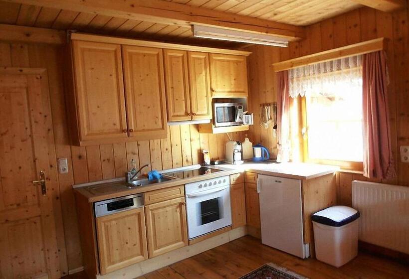 آپارتمان 1 خوابه با بالکن, Bauernhof Hatzlhof