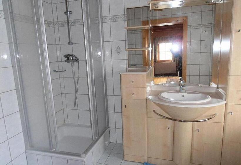 آپارتمان 1 خوابه با بالکن, Bauernhof Hatzlhof