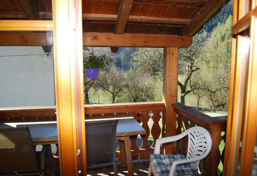 آپارتمان 1 خوابه با بالکن, Bauernhof Hatzlhof