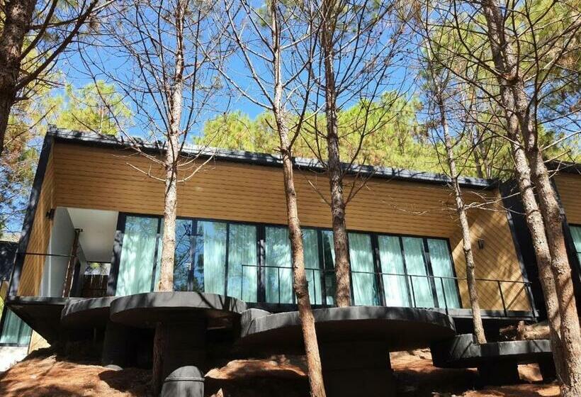 خانه 2 خوابه, Villa Pason