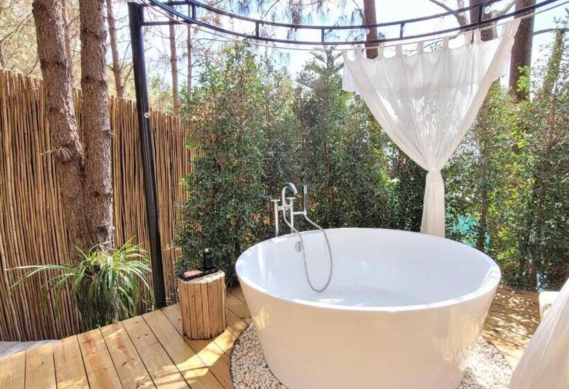 کلبه ییلاقی, Villa Pason