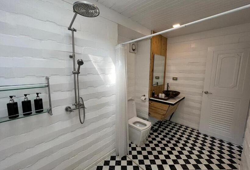 کلبه ییلاقی, Villa Pason