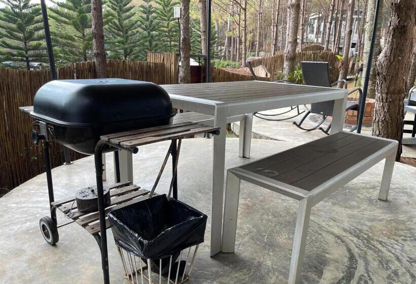 کلبه ییلاقی, Villa Pason