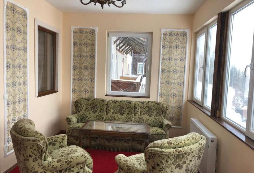 غرفة قياسية مزوَّدة بشُرفة, Lambach Villa