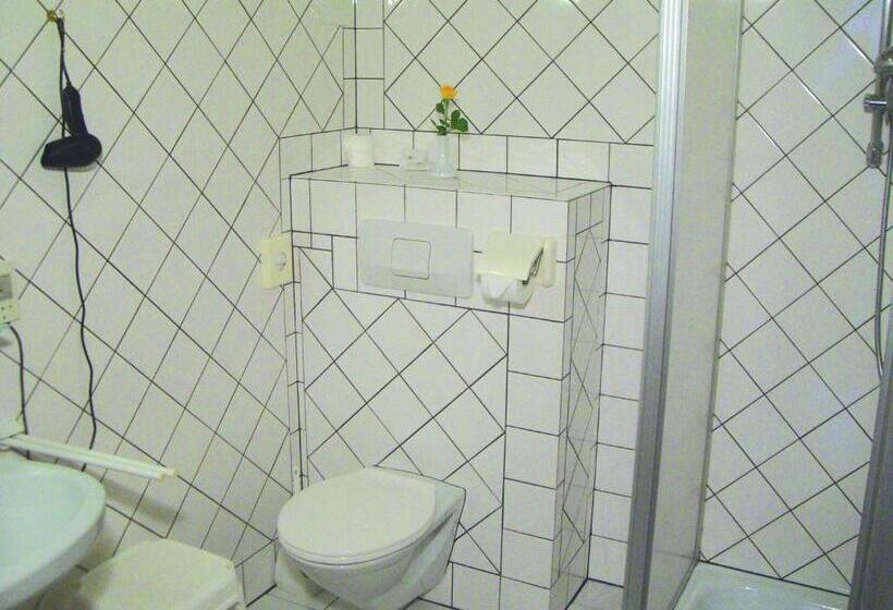 غرفة قياسية فردية, Liezenerhof