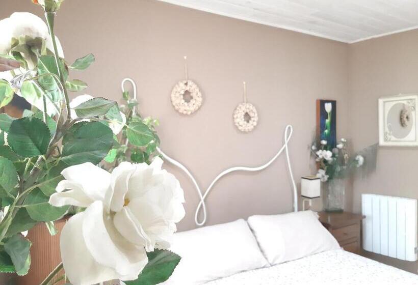 اتاق استاندارد, Casa Solis