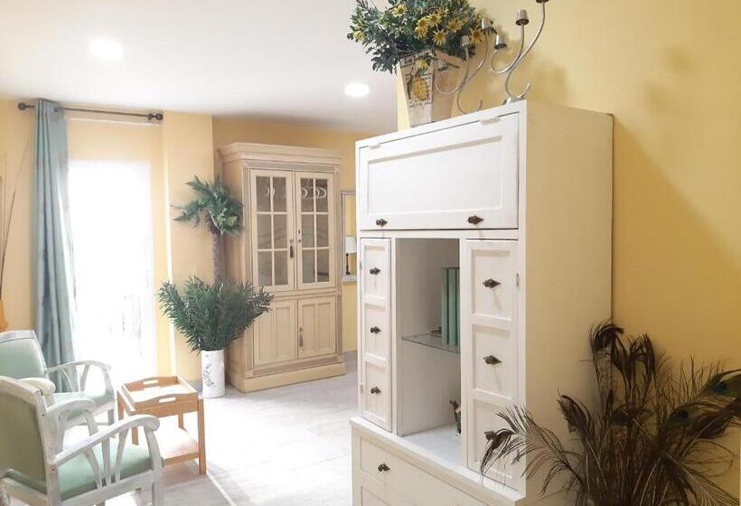 اتاق استاندارد, Casa Solis