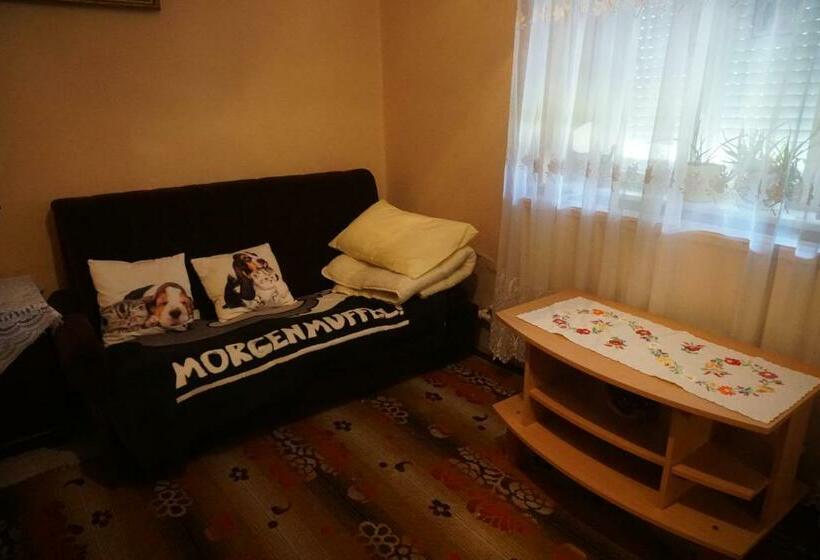 Семейный Номер Совместный Санузел, Piri Vendégház