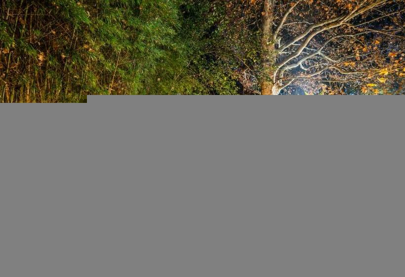 בקתת חדר, Hakunamatata Lodge & Health Spa/ Wedding & Conference Venue