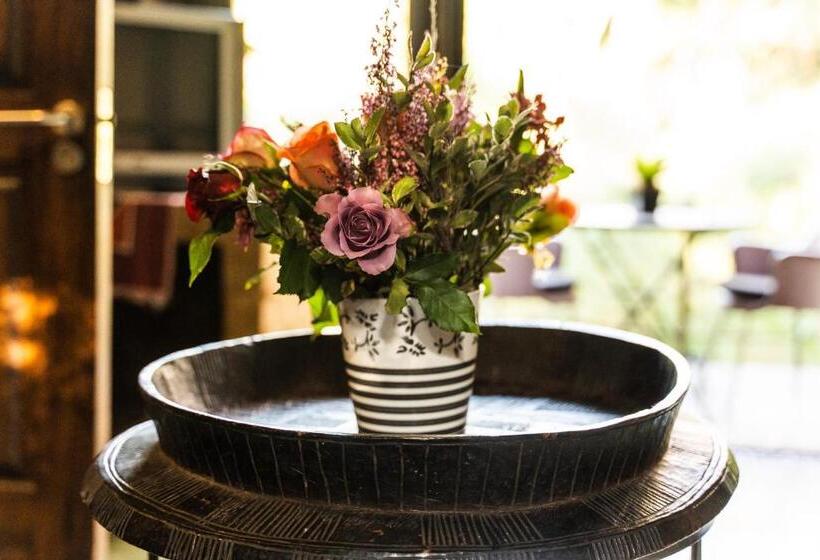 סוויטת פרמיום, Hakunamatata Lodge & Health Spa/ Wedding & Conference Venue