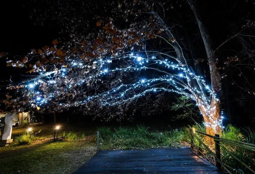 ジュニアスイート, Hakunamatata Lodge & Health Spa/ Wedding & Conference Venue