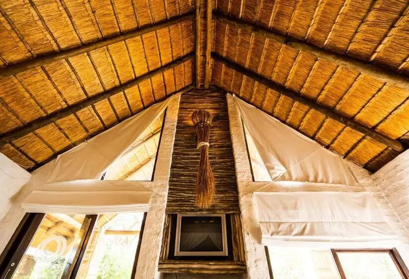 庭の見えるジュニアスイート, Hakunamatata Lodge & Health Spa/ Wedding & Conference Venue