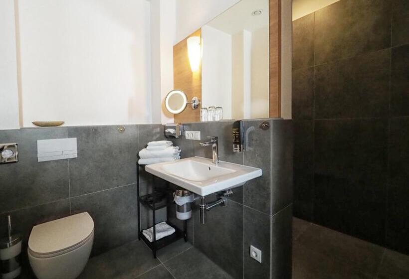 آپارتمان 1 خوابه با بالکن, Apparthotel Rivers Passau