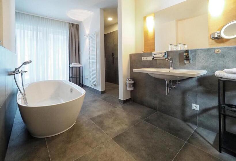 آپارتمان 1 خوابه با بالکن, Apparthotel Rivers Passau
