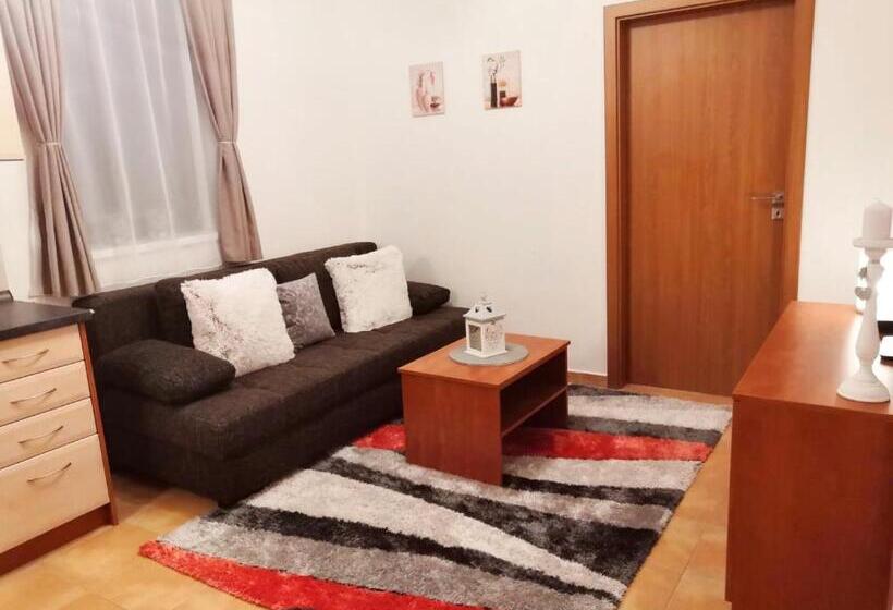 آپارتمان 1 خوابه با چشمانداز باغ, Penzion U Zámeckého Parku