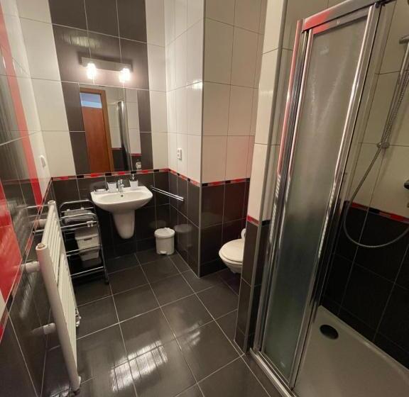 آپارتمان 1 خوابه با چشمانداز باغ, Penzion U Zámeckého Parku