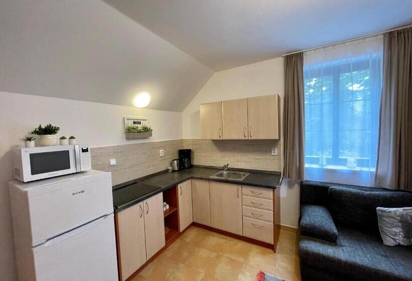 آپارتمان 1 خوابه با چشمانداز باغ, Penzion U Zámeckého Parku